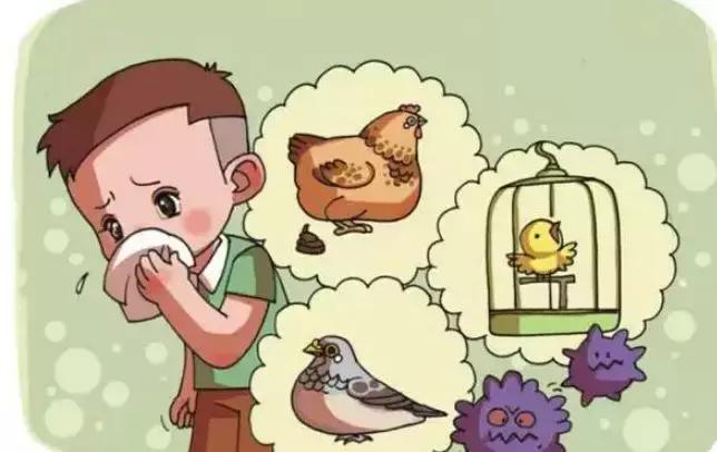 活禽市场动态深度解析，背景资讯与最新动态