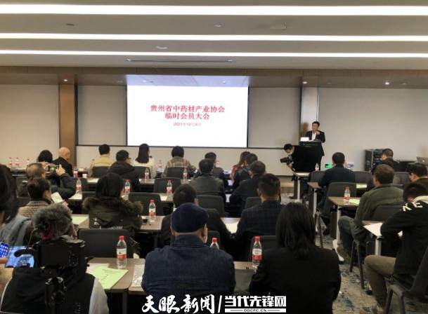 郎洪平最新动态解析及观点速递