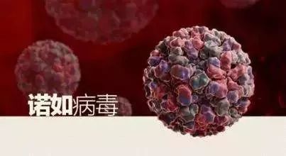 江苏最新疫情动态，关注健康，共筑防线