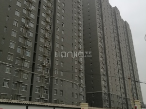 安平瑞泰最新消息,拥抱自然,寻找内心的宁静之旅