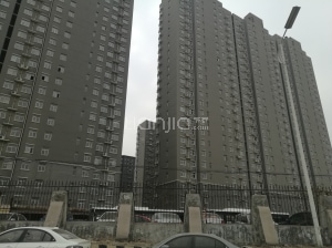 安平瑞泰最新消息,拥抱自然之旅的精彩瞬间
